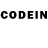 COCAIN VHQ Eirini Oflidou