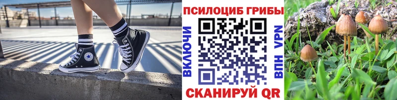 Псилоцибиновые грибы мухоморы  блэк спрут ссылки  Железногорск-Илимский  купить наркотики сайты 